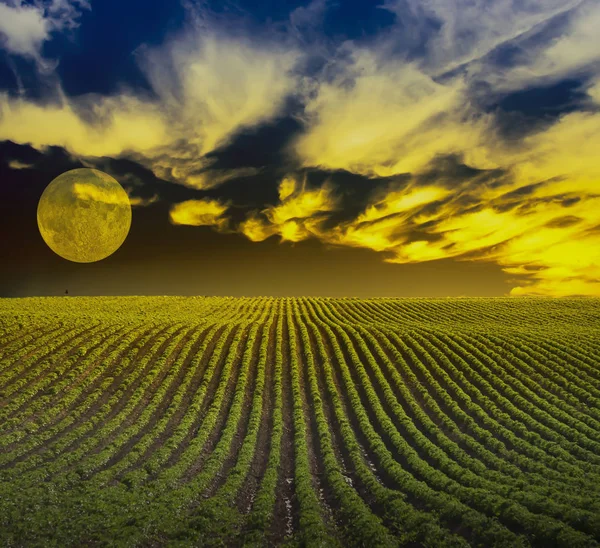 Green Field Mystic Yellow Clouds Full Moon — Stock Photo, Image