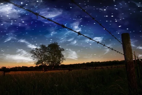 Sterrennacht Boeren Hek Veld — Stockfoto