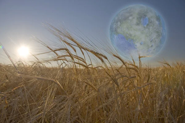 Terraformed Luna Seen Field Earth — Stock Photo, Image