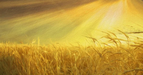 Field Wheat Sunny Sky Rendering — Stock Photo, Image