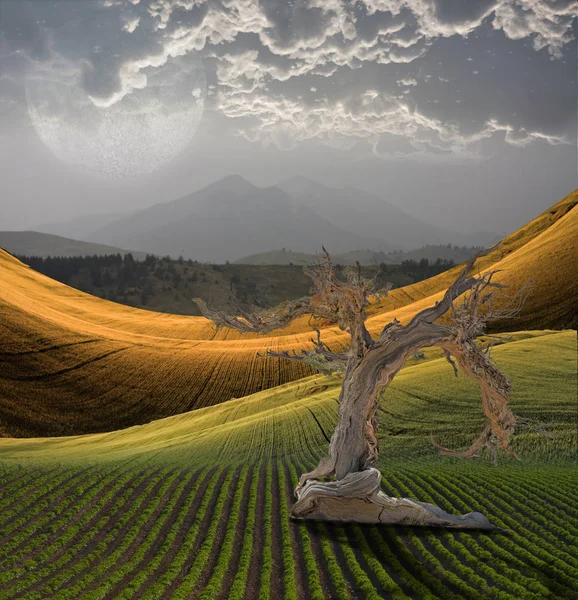 Paisagem Pacífica Com Montanha — Fotografia de Stock