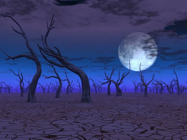 Desert Scene Full Moon — Stock Photo, Image