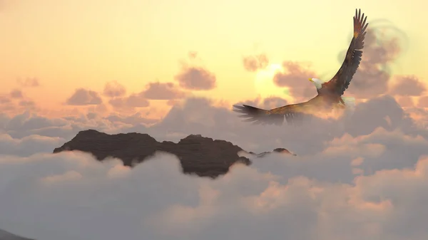 日の出 曇り空で飛ぶ鷲 — ストック写真