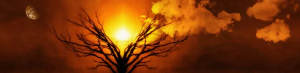 Mystischer Baum Des Lebens Mond Bewölkten Himmel Sonnenuntergang Oder Sonnenaufgang — Stockfoto