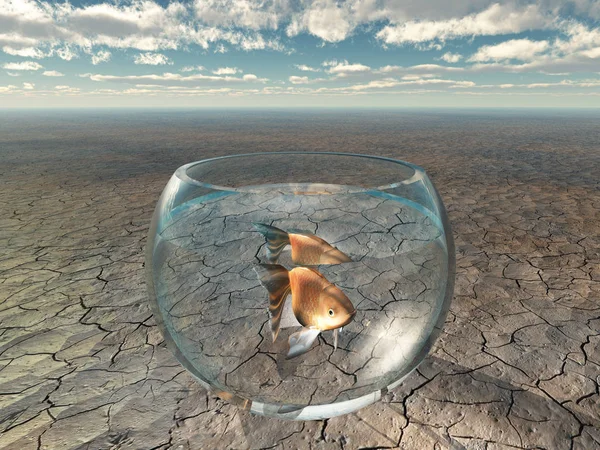 Gouden Vis Glazen Kom Barre Woestijn — Stockfoto