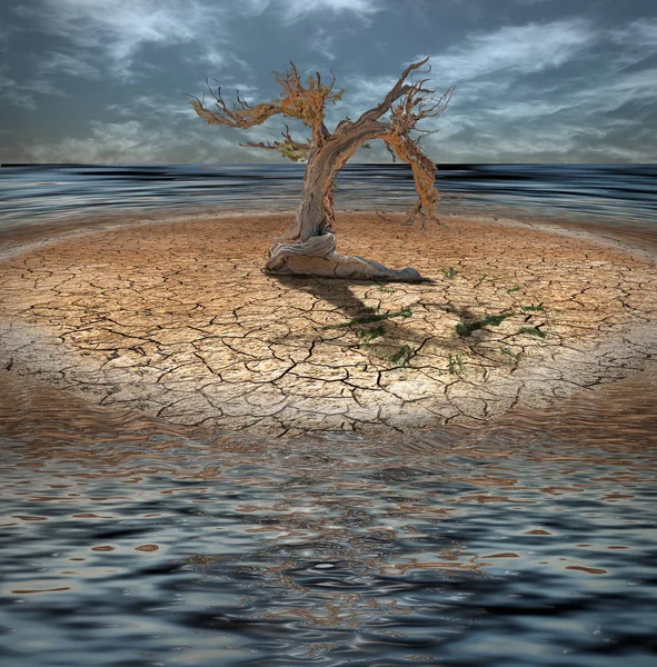 Έρημο Νησί Πλημμύρας Νεκρό Δέντρο Και Ρολόι Από Χόρτο — Φωτογραφία Αρχείου