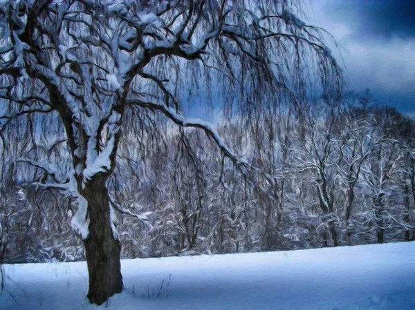 Arbres Avec Neige Dans Parc Hiver — Photo