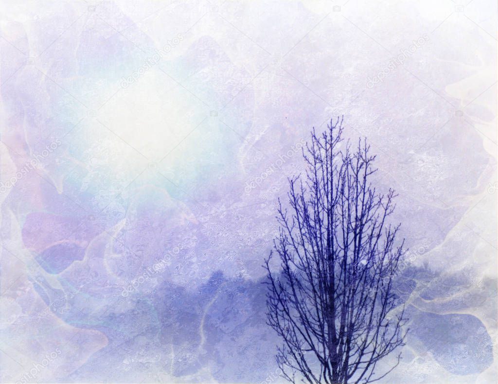 Abstract light background and leafless tree