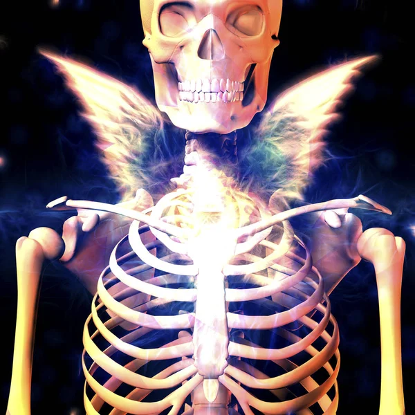 Skelton Met Engel Vleugels — Stockfoto