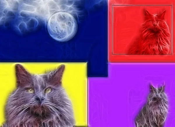 Whimsical Cat Art Modern Background — Stock Photo, Image