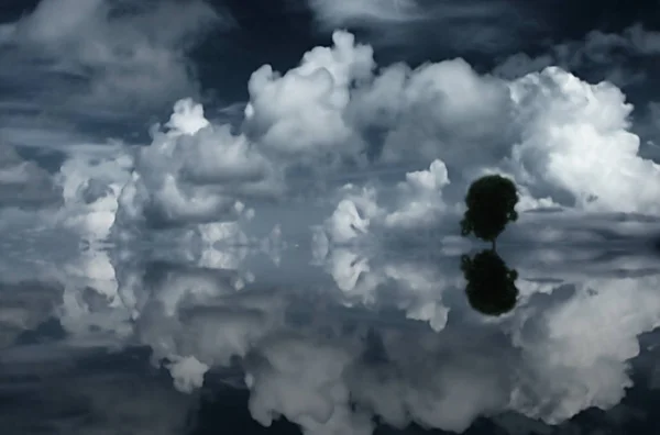 Wolken Baum Und Spiegelndes Wasser — Stockfoto