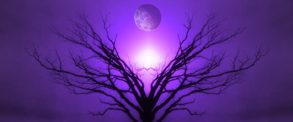 Mystic Tree of Life. Moon in the Sky. Sunset or Sunrise