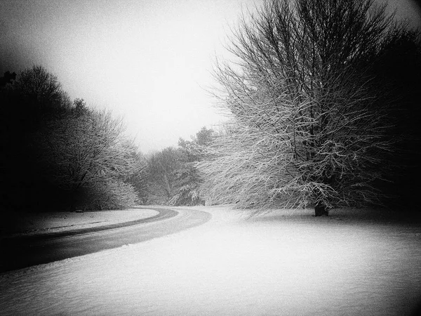 Strada Invernale Innevata Alberi — Foto Stock