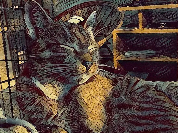 Pintura Gato Dormido Ilustración Moderna Colorida Para Fondo — Foto de Stock