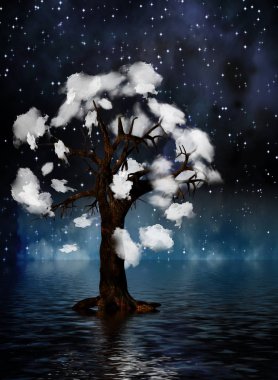 ağaç bulutlar tarafından çevrili