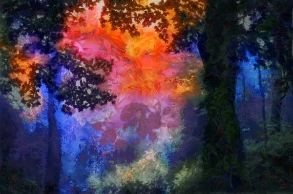 Walddämmung Leuchtenden Farben — Stockfoto