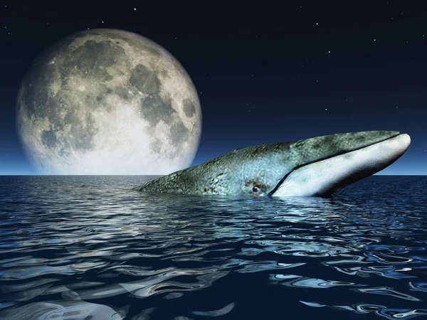 Ballena Superficie Los Océanos Con Luna Llena — Foto de Stock