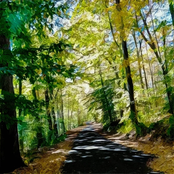 Pintura Óleo Floresta Outono — Fotografia de Stock
