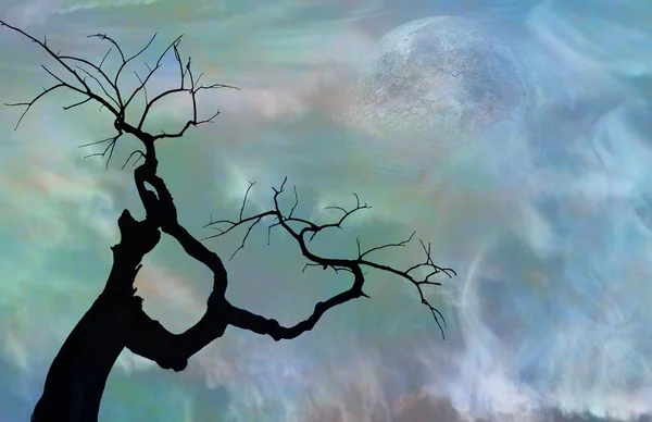 Surrealismo Silhouette Dell Albero Luna Nel Cielo — Foto Stock