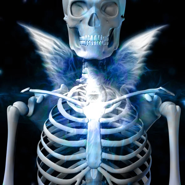 Shining Skeleton Wings — Stock Photo, Image