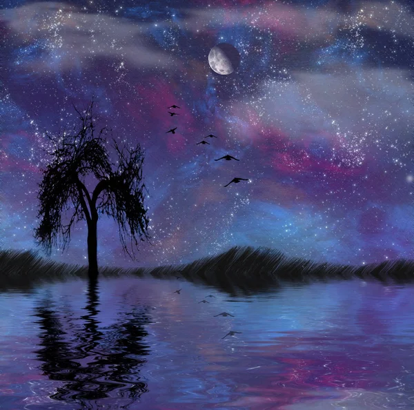 Osamělý Strom Břehu Jezera Úplněk Ptáci Obloze — Stock fotografie