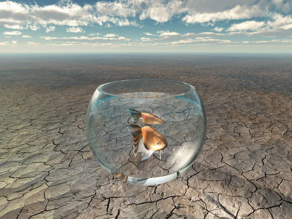 Gold Fish Glass Bowl Barren Desert — Stock Photo, Image