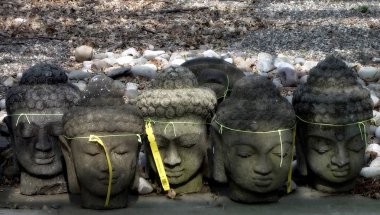 Buda'nın taş kafa. Bu görüntü bana tarafından bütünüyle kendi resimlerden oluşturulmuş ve tüm haklarına sahip ve yasal olarak dağıtmak ve bu eser satmak.