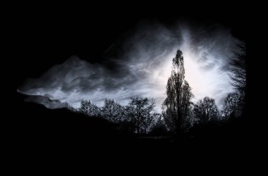 Gece büyülü manzarası. Ağaçlar, orman.