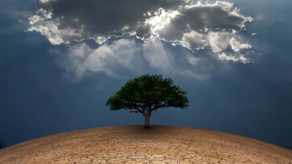 Surrealism Green Tree Arid Land Light Beams Comes Clouds — Stock Photo, Image