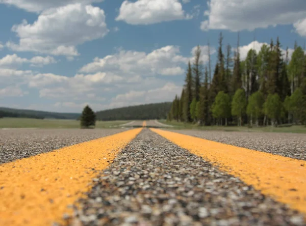 Líneas Amarillas Una Carretera —  Fotos de Stock