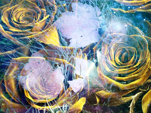 Sürrealizm Sarı Gül Sonbahar Yaprakları Ile Üst Üste Gelen — Stok fotoğraf