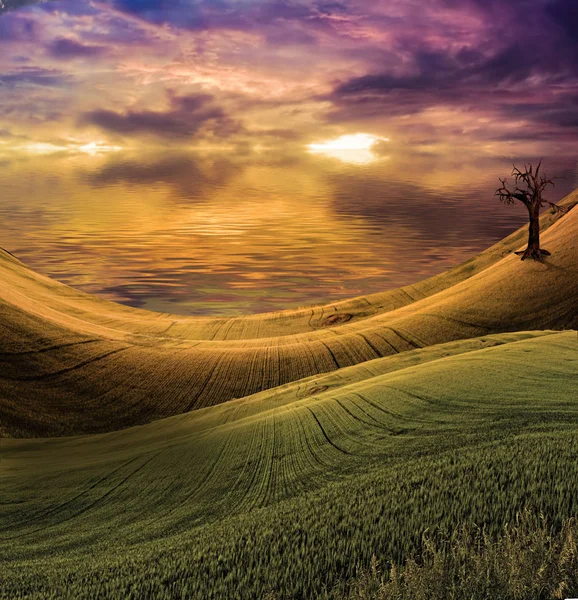 Acqua Paesaggio Tranquillo — Foto Stock