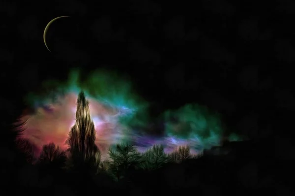 表现主义绘画 月光下的森林 — 图库照片