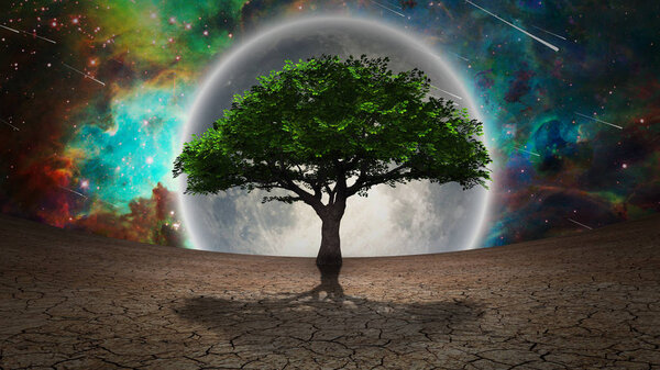 Green tree in arid land. Full moon in the vivid sky. 3D rendering. Some elements credit NASA.