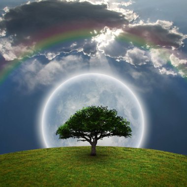 Yeşil ağaç. Parlak ay ve gökkuşağı. 3D render.