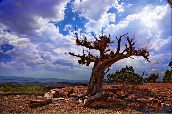 Paisaje Del Desierto Fondo Moderno — Foto de Stock