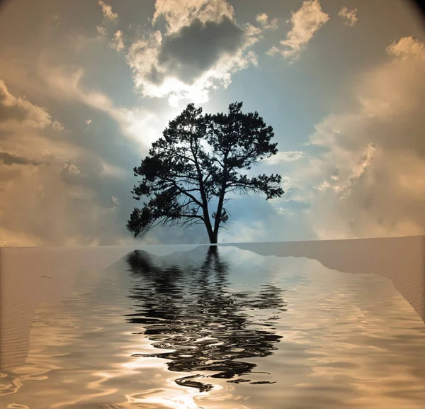 Wüstenwasser Farbenfrohe Moderne Illustration Für Hintergrund — Stockfoto