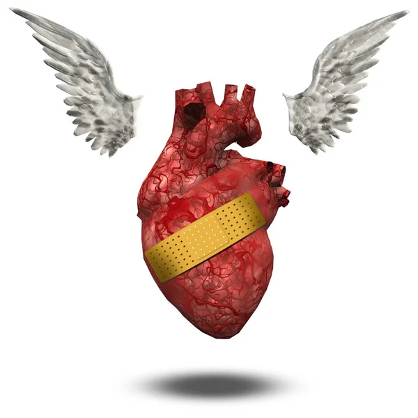 Cuore Ferito Libero Volare — Foto Stock