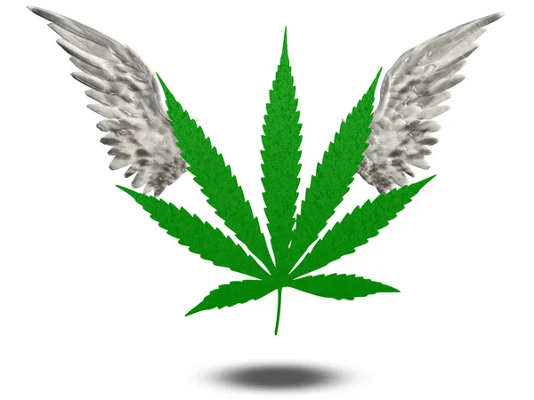 Marihuanablad Met Vleugels — Stockfoto