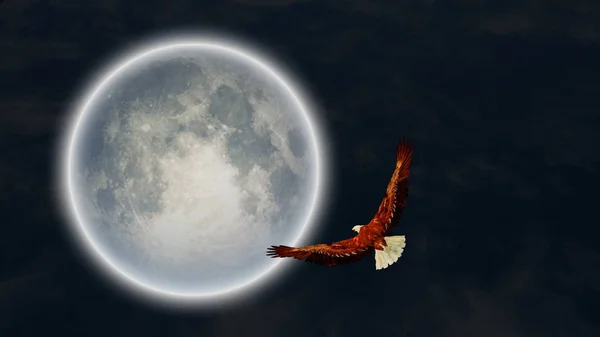 Surrealism Full Moon Flying Eagle Sky — Stock Photo, Image