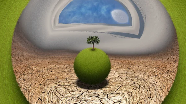 Grassy Globe Tree Desert — Stock Photo, Image