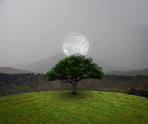 Árvore Verde Lua Sobre Montanhas Renderização — Fotografia de Stock