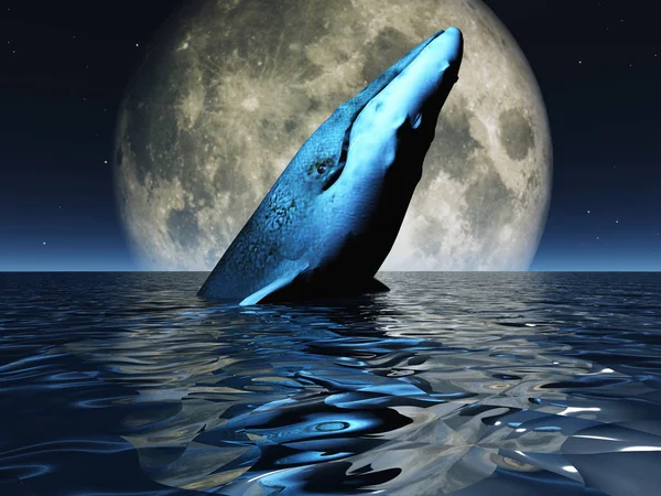 Baleine Surface Des Océans Avec Pleine Lune — Photo