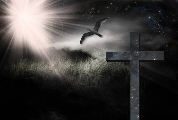 十字架と風景の中の鳥 — ストック写真