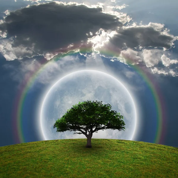 Yeşil ağaç. Parlak ay ve gökkuşağı. 3D render.