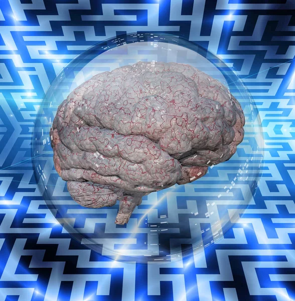 Brain in crystal ball — Stock Photo, Image