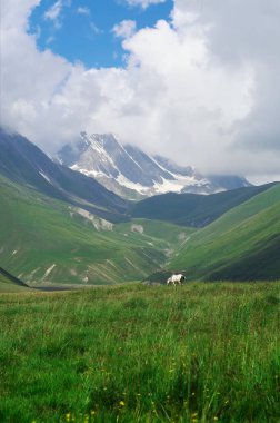 Kafkasya karla kaplı dağlar