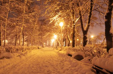 Kış akşam parkta bir kar yağışı sonra