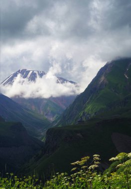 Yaz mevsiminde yüksek dağlarda