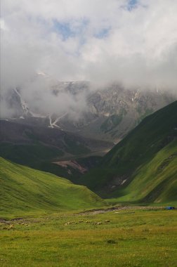 Yaz mevsiminde yüksek dağlarda